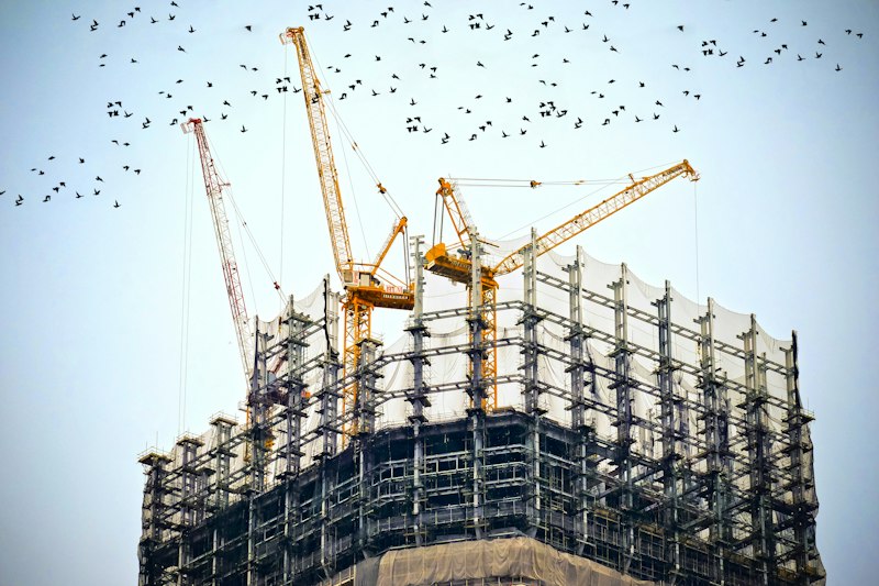 Grúas torre trabajando sobre estructura en construcción