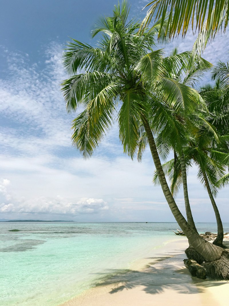 Playa con palmeras en el Pacífico mexicano