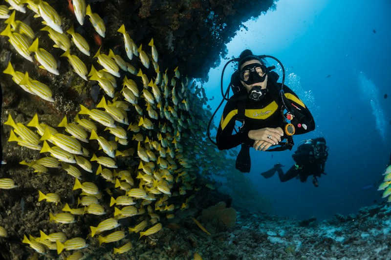 Buzos entre peces tropicales en el Caribe