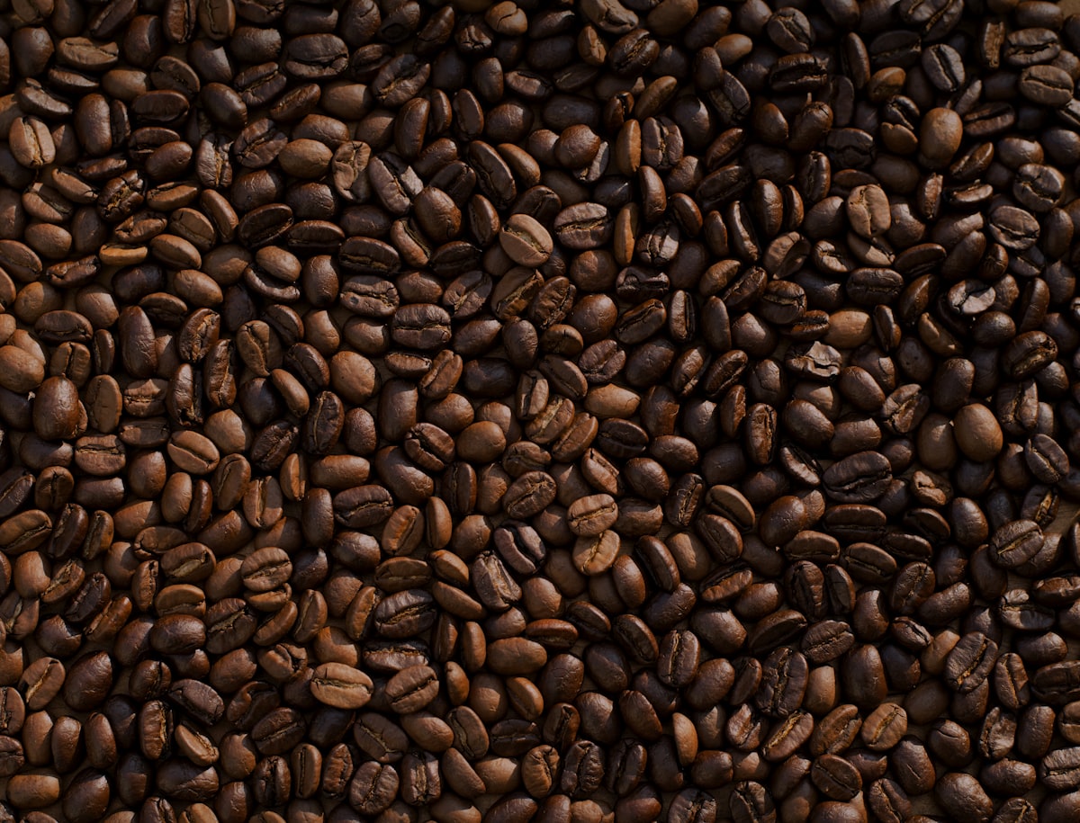 Granos de café recién tostados